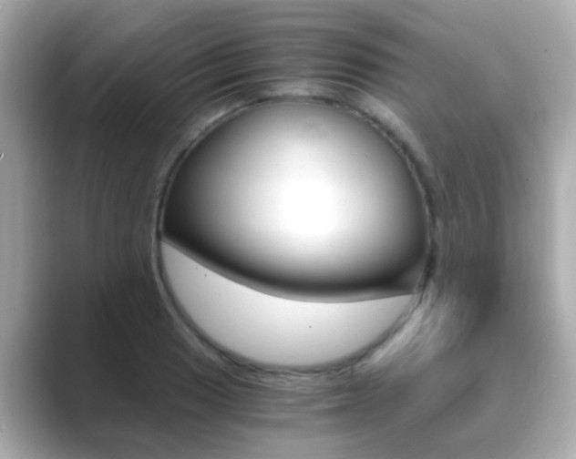 X0000089691033200706210830