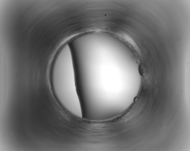 X0000089691035200706210830