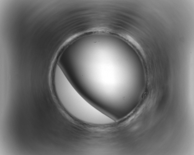 X0000089691037200706210830