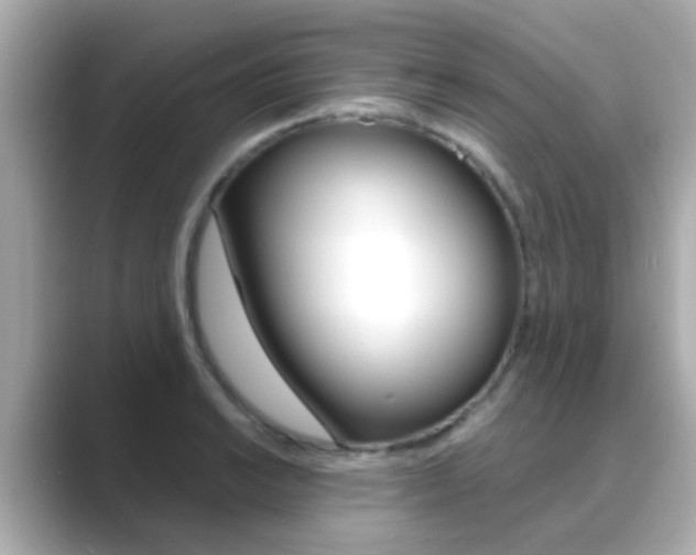 X0000089691038200706210830