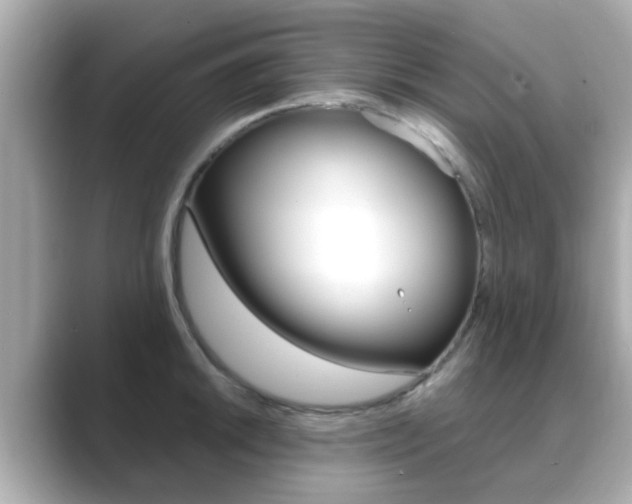 X0000089691046200706210830
