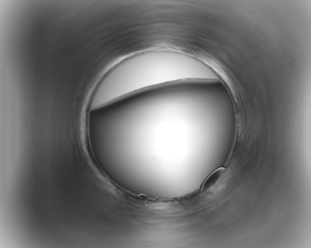 X0000089691048200706210830