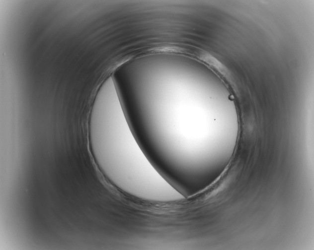 X0000089691049200706210830