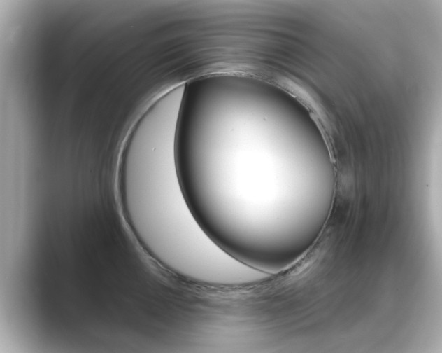 X0000089691050200706210830