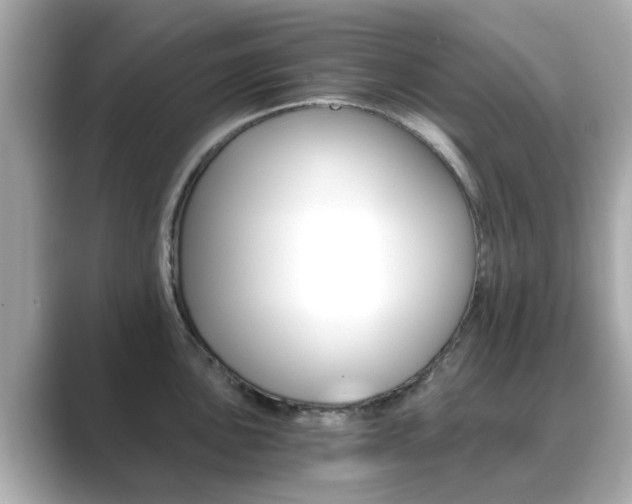 X0000089691051200706210830