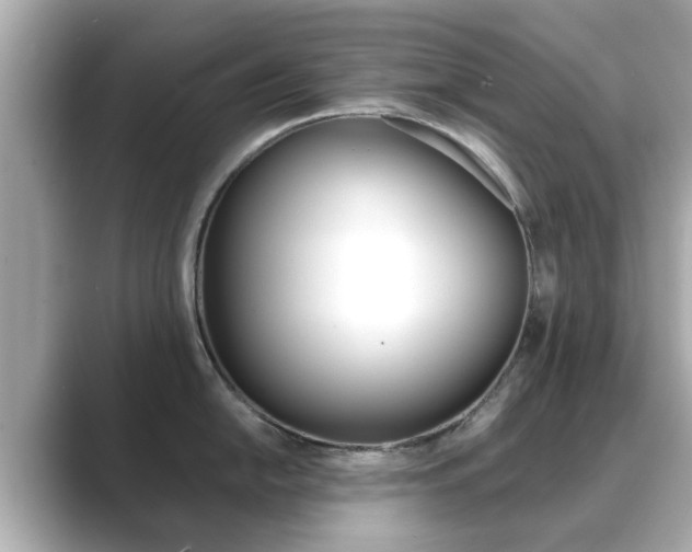 X0000089691054200706210830