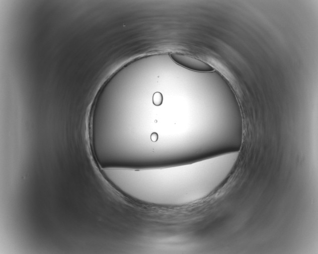 X0000089691055200706210830