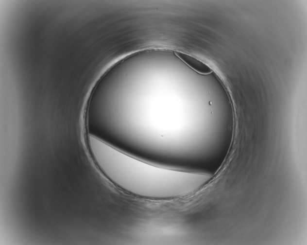 X0000089691056200706210830