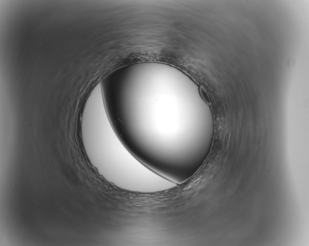 X0000089691057200706210829
