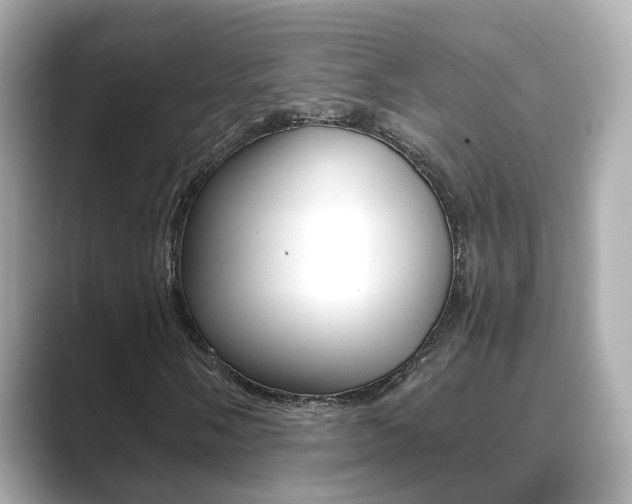 X0000089691058200706210829