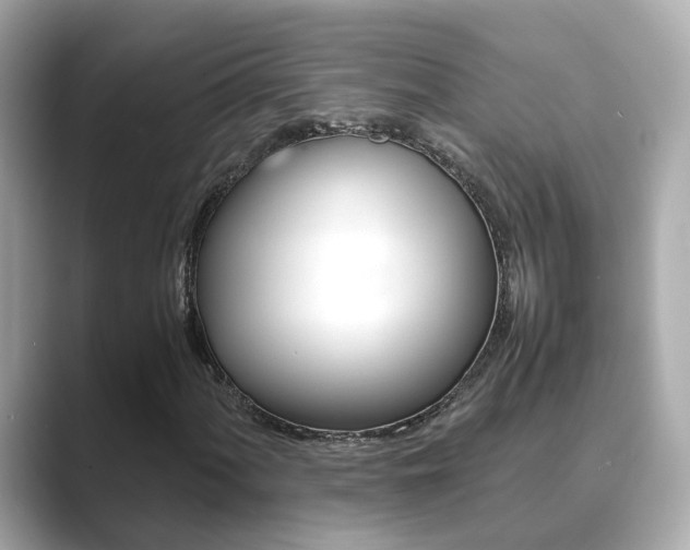 X0000089691060200706210829