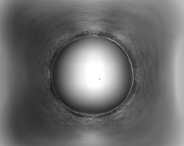 X0000089691061200706210829