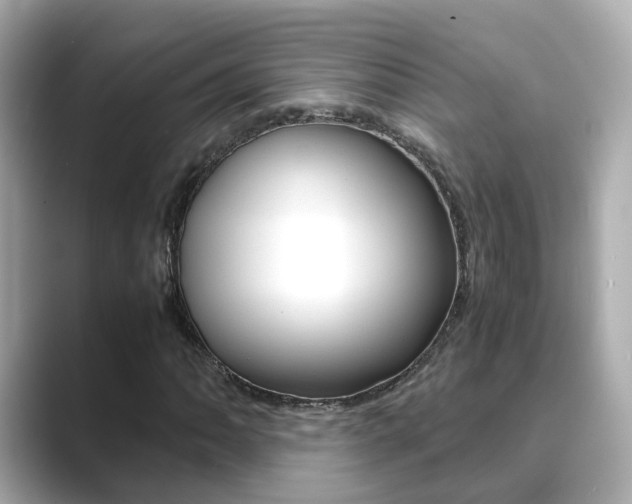 X0000089691062200706210829