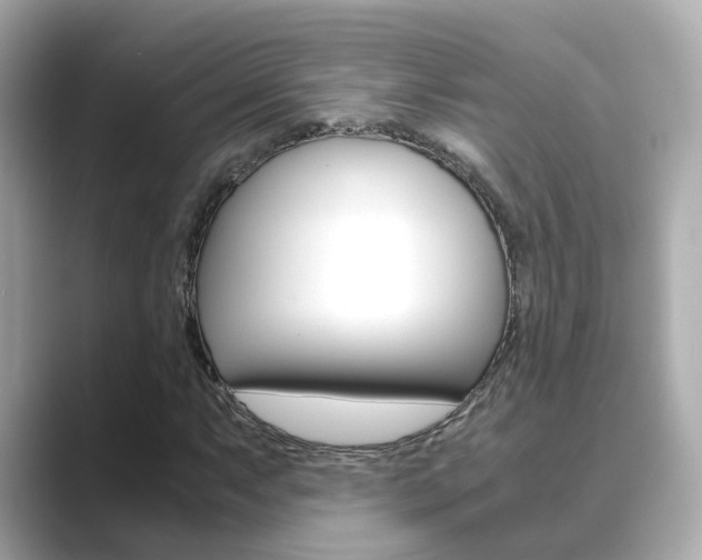 X0000089691063200706210829