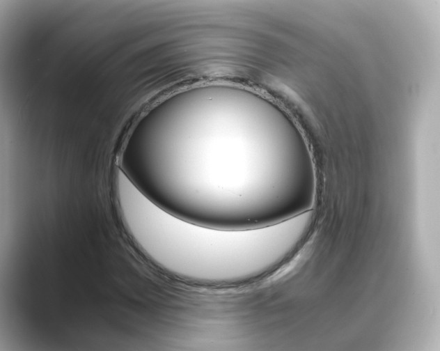 X0000089691065200706210829