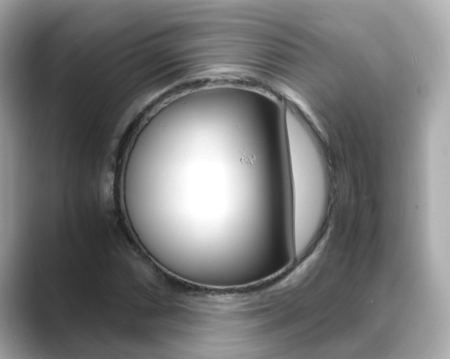 X0000089691066200706210829