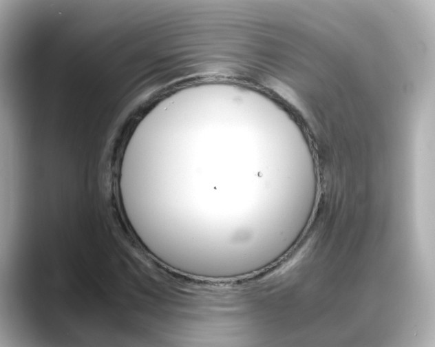 X0000089691067200706210829