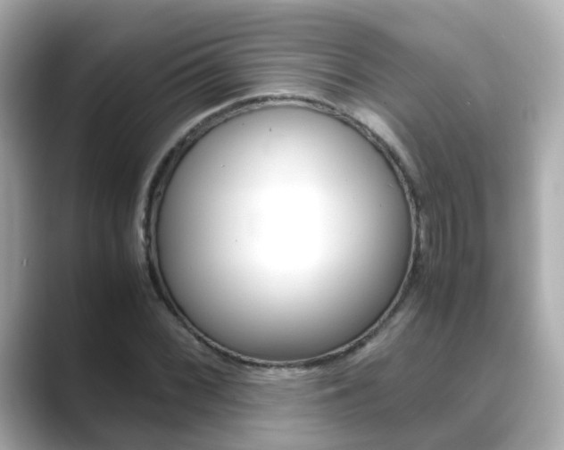 X0000089691068200706210829