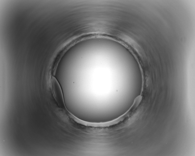 X0000089691069200706210829