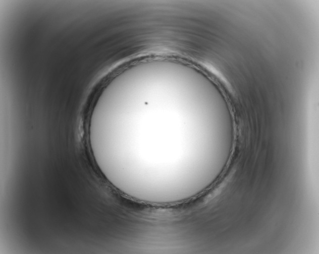 X0000089691070200706210829