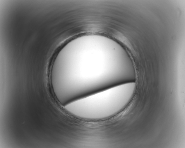 X0000089691071200706210829