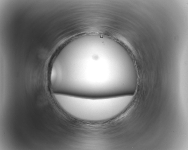 X0000089691075200706210829