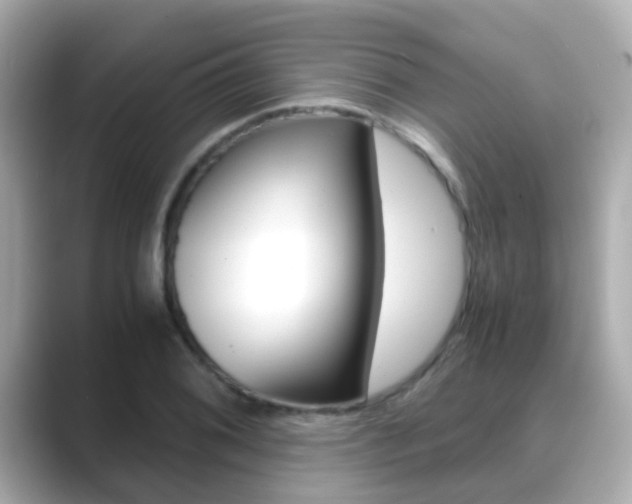 X0000089691076200706210829