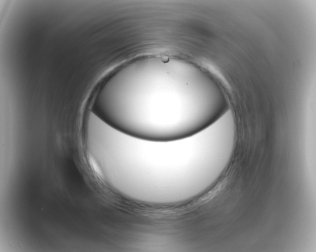 X0000089691079200706210829
