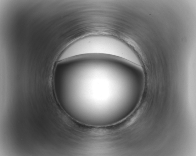 X0000089691081200706210829