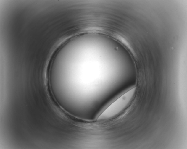 X0000089691082200706210829