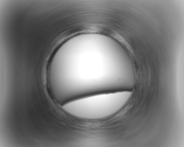 X0000089691083200706210829