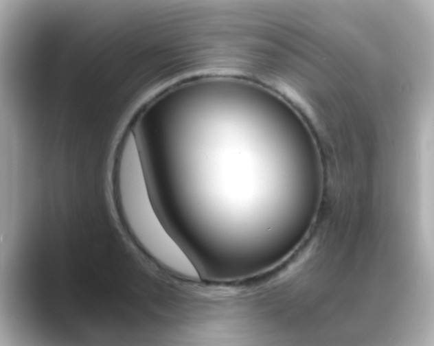 X0000089691085200706210829