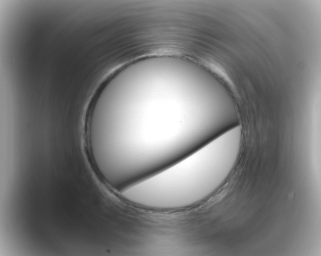 X0000089691087200706210829