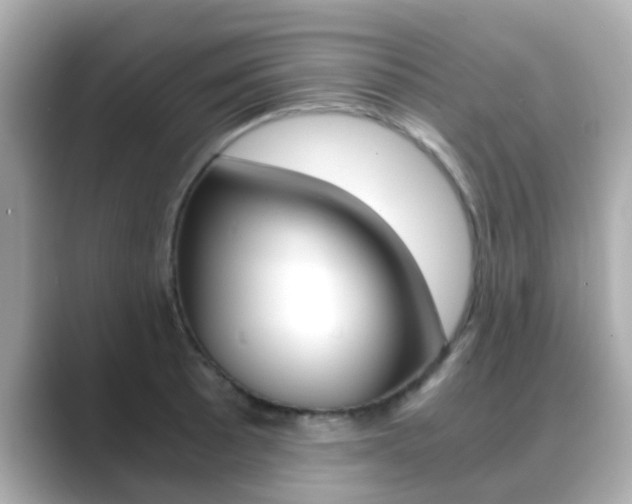 X0000089691089200706210829