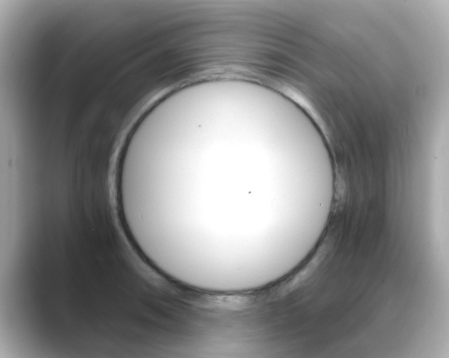X0000089691090200706210829
