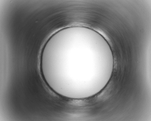X0000089691094200706210829