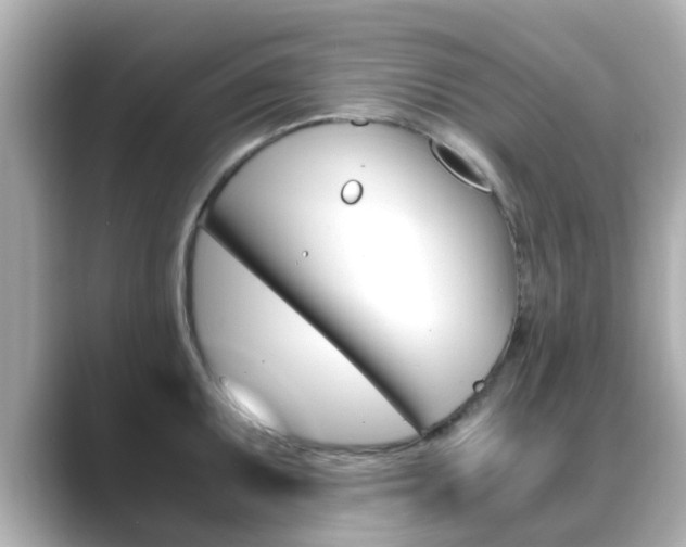 X0000089691095200706210829