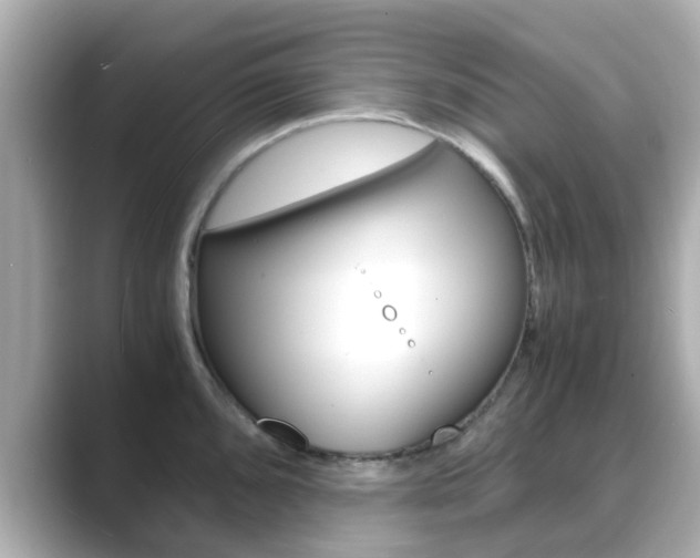 X0000089691096200706210829