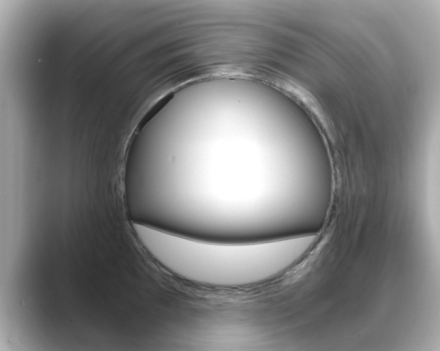 X0000089691097200706210829