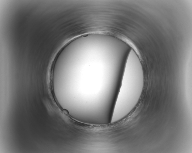 X0000089691099200706210829