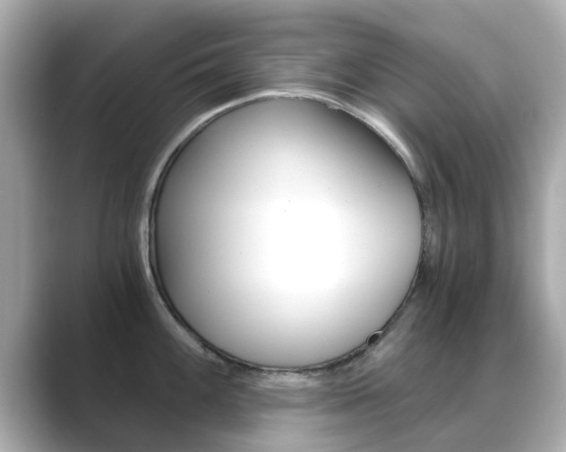 X0000089691100200706210829