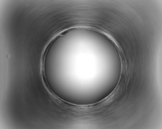 X0000089691101200706210829