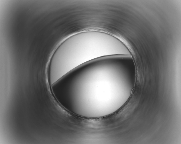 X0000089691102200706210829