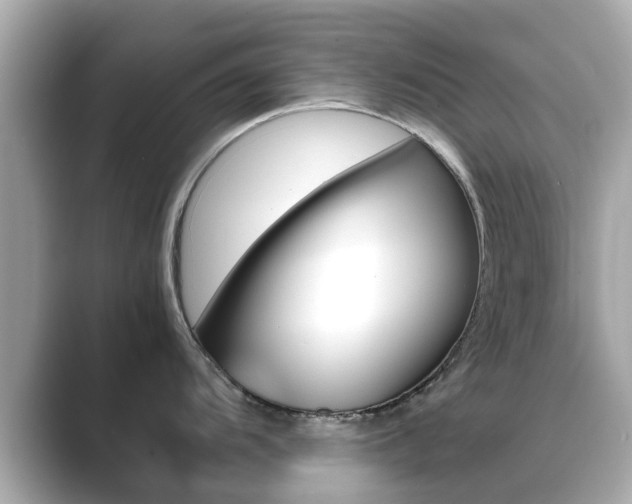 X0000089691104200706210829