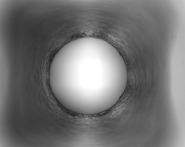 X0000089691105200706210828