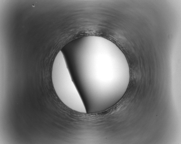 X0000089691106200706210828