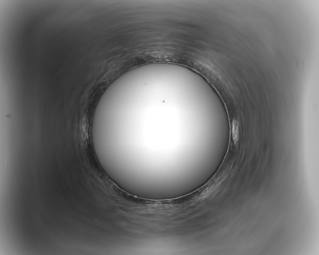 X0000089691107200706210828