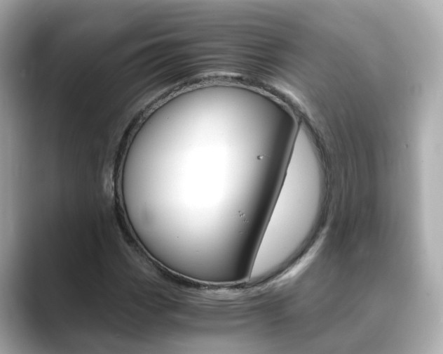 X0000089691113200706210828