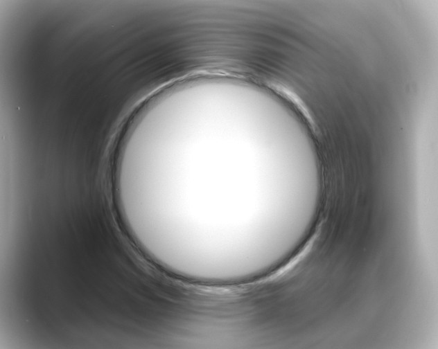 X0000089691114200706210828
