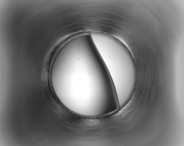 X0000089691115200706210828